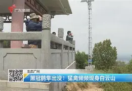 爱游戏-歗LrNC蕍?{隼?楆|!?Kv!的简单介绍